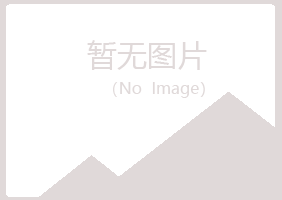 咸阳秦都夏日化学有限公司